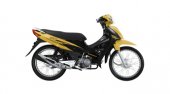 2011 Modenas CT100 photo